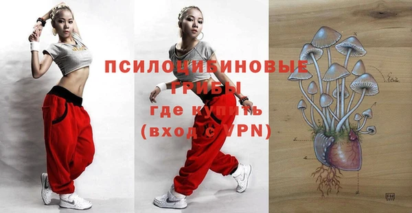 твердый Покров
